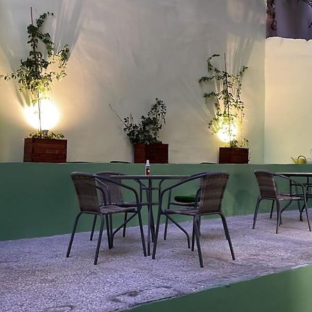Cozy Apartment With Garden Near Town Center, Fully Renovated. アテネ エクステリア 写真