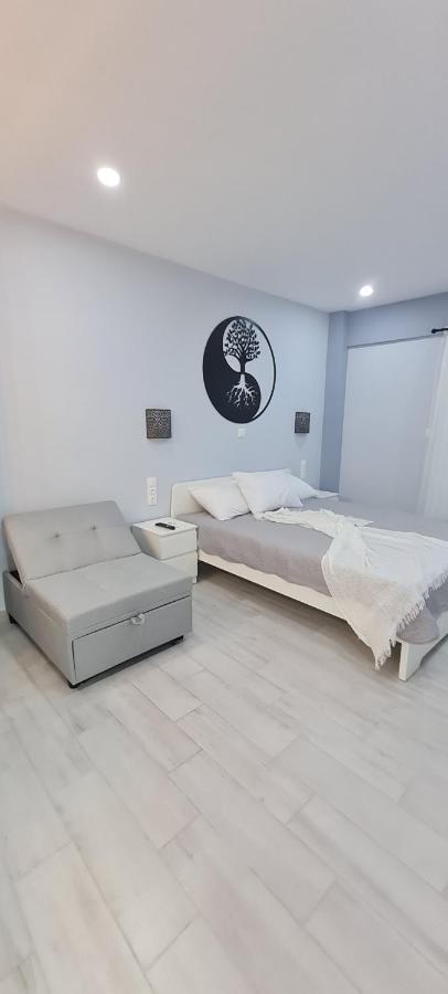 Cozy Apartment With Garden Near Town Center, Fully Renovated. アテネ エクステリア 写真