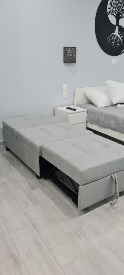 Cozy Apartment With Garden Near Town Center, Fully Renovated. アテネ エクステリア 写真